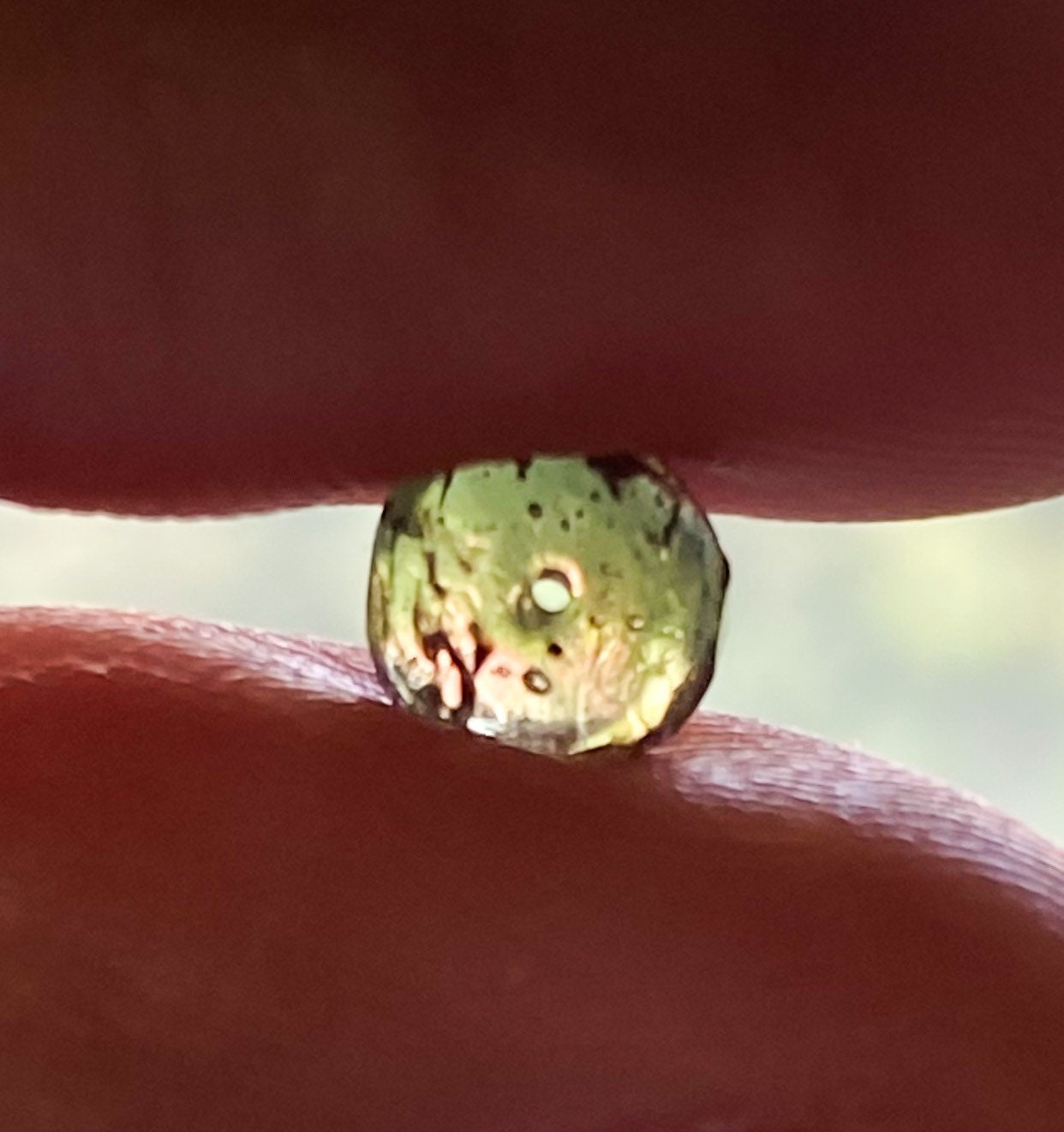 Moldavite | Herkimer | Libyan Desert Glass Pendulum