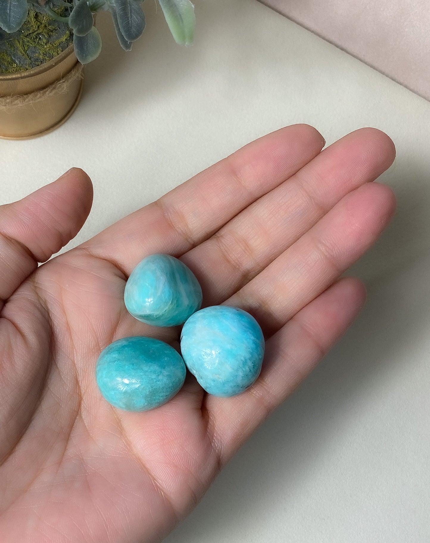 Amazonite Tumble | Avocado