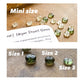 Moldavite Bracelet | Libyan Desert Glass | Herkimer Bracelet